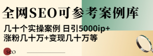 优秀网站SEO实操案例, 日引5000ip+涨粉百W+变现几十W-虚拟货源网