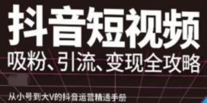 抖音视频号高级实操课程：从小号到大V的抖音运营精通手册（吸粉、引流、变现全攻略）-虚拟货源网