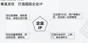 短视频带货合集详细教程（外边卖3980元）-虚拟货源网