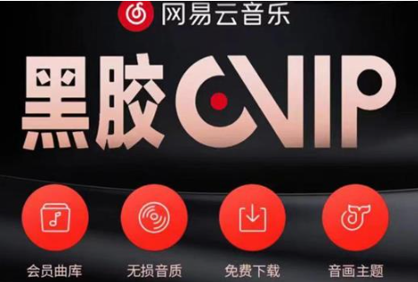 图片[1]-网易云音乐撸黑胶年卡及变现方法【收益可无限放大】-虚拟货源网