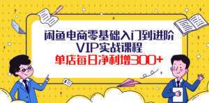 闲鱼电商零基础入门VIP实战课程，单店每日净利增300+（37节课）-虚拟货源网